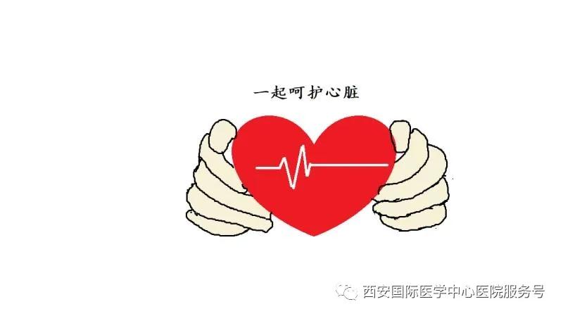 【科普】呵護(hù)心臟，從現(xiàn)在做起