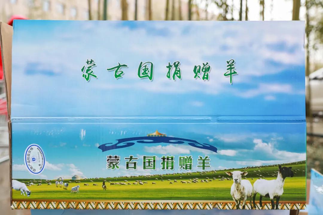 援鄂醫(yī)療隊：“暖羊羊”來啦！