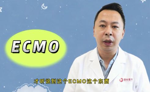 什么是ECMO？