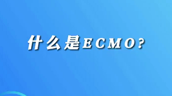 【名醫(yī)面對面之心臟100問】什么是ECMO？