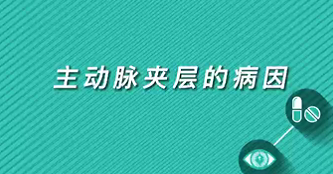 【名醫(yī)面對面之心臟100問】主動脈夾層的病因